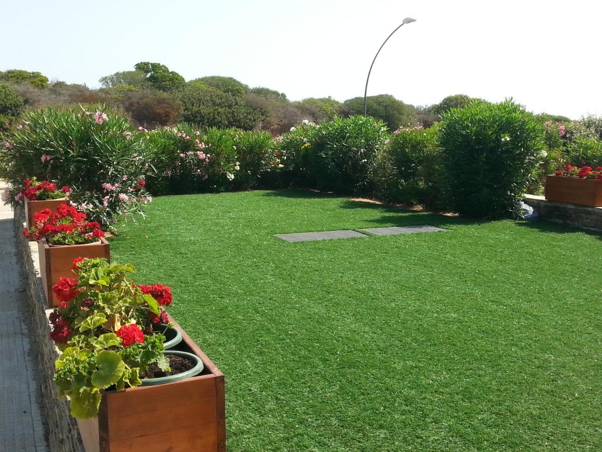 Stintino B&B Bagian luar foto